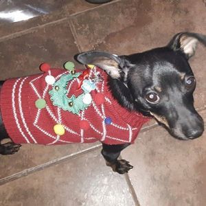 Meet your Posher, Jenny